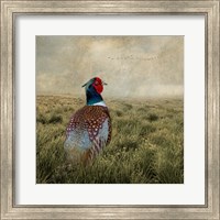 Framed Have a Very Pheasant Day