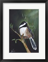 Framed Chickadee