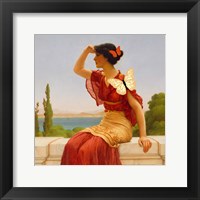 Framed Madame Butterfly