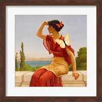 Framed Madame Butterfly