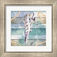 Framed Seahorse