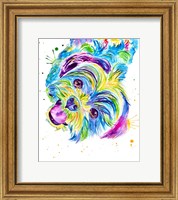 Framed Louie the Colorful Shitzhu