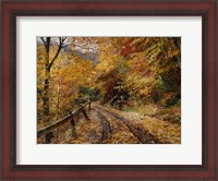 Framed Falling Leaves