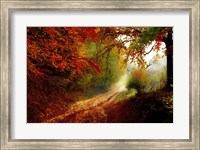 Framed Autumn Forest Edge