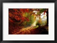 Framed Autumn Forest Edge