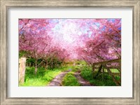 Framed Cherry Blossom Lane