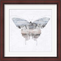 Framed Silver Butterfly