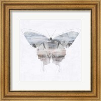 Framed Silver Butterfly