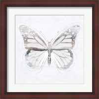 Framed Silver Butterfly II