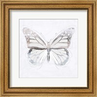 Framed Silver Butterfly II
