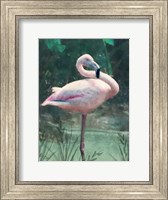 Framed Peach Flamingo