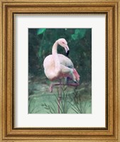 Framed Peach Flamingo II