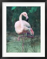 Framed Peach Flamingo II