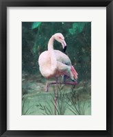 Framed Peach Flamingo II