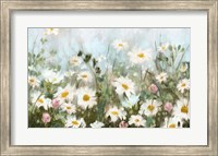 Framed Field of Daisies
