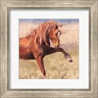 Framed Red Stallion