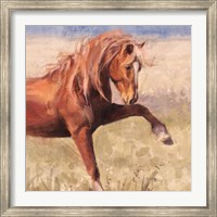 Framed Red Stallion
