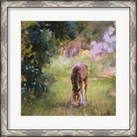 Framed Spring Time Foal II