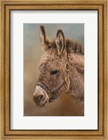 Framed Wild Breed