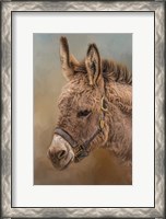 Framed Wild Breed