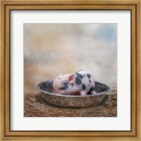 Framed This Little Piggy