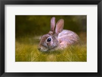 Framed Grassy Bed