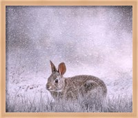 Framed Snow Hopper