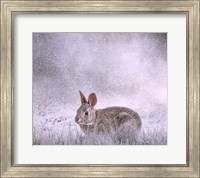 Framed Snow Hopper