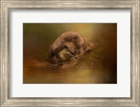 Framed Otter Curiosity