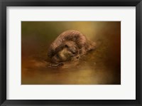 Framed Otter Curiosity