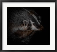 Framed Sir Badger