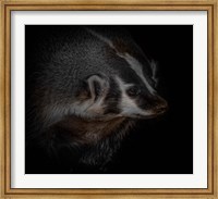 Framed Sir Badger