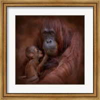 Framed Mother's Love