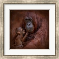 Framed Mother's Love