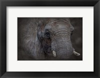 Framed Textured