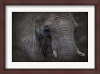 Framed Textured