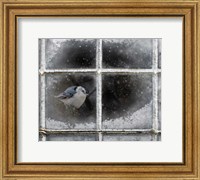 Framed Frosty