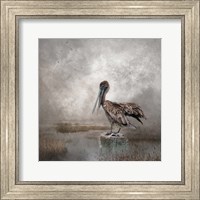 Framed Visitor to the Marshes