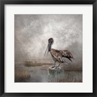 Framed Visitor to the Marshes