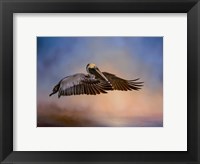 Framed Graceful Glider