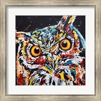 Framed Horned Owl