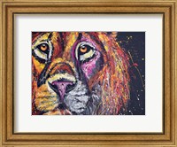 Framed Lion Face