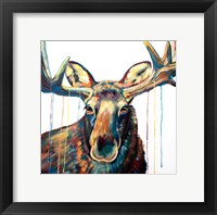 Framed Moose Drip