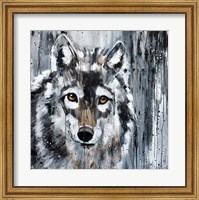 Framed Golden Eye Wolf