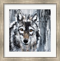 Framed Golden Eye Wolf