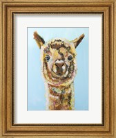 Framed Brown Alpaca