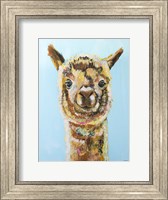 Framed Brown Alpaca