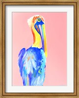 Framed Pink Pelican