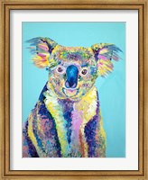 Framed Koala