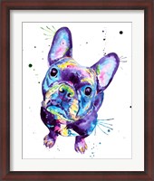 Framed Dark Frenchie